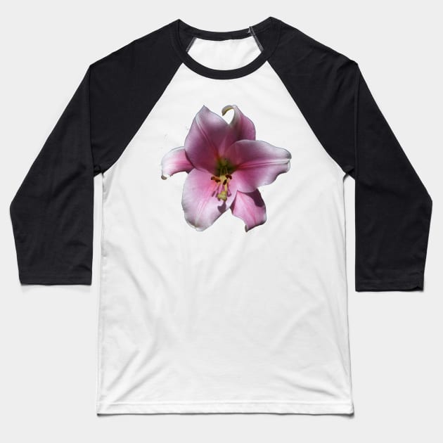 Pink Lilly by Avril Thomas Baseball T-Shirt by MagpieSprings